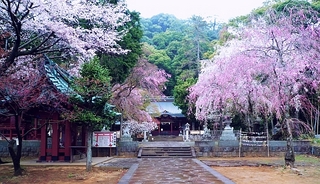 izusan.jpg