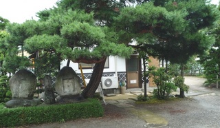machi.jpg