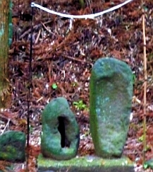 shizeb21.jpg