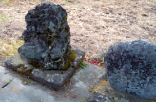 shizen11.jpg