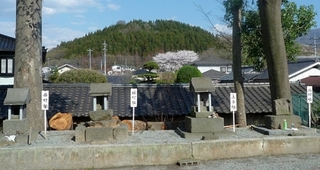 suwa4.jpg