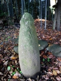 suwasekibo.jpg